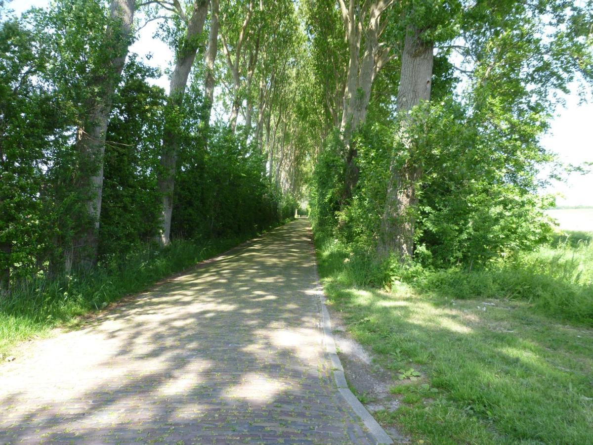 Vakantiewoning Domburg DO31 Bagian luar foto