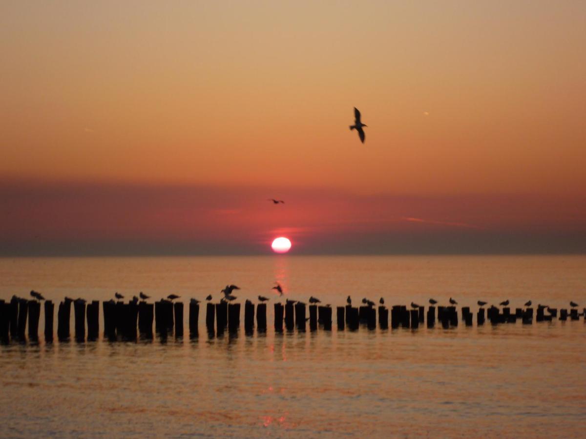 Vakantiewoning Domburg DO31 Bagian luar foto